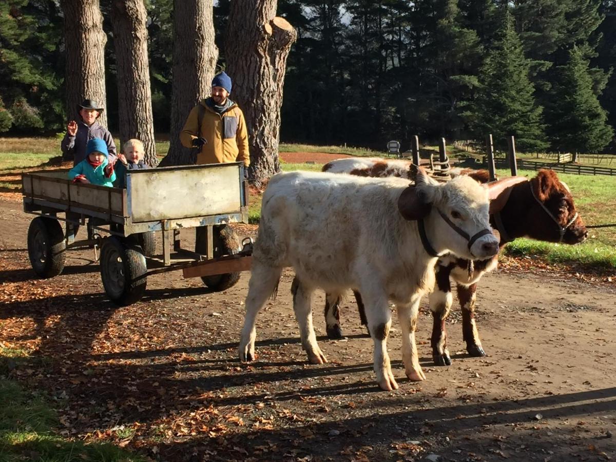 Mohaka River Farm Te Haroto Exterior photo